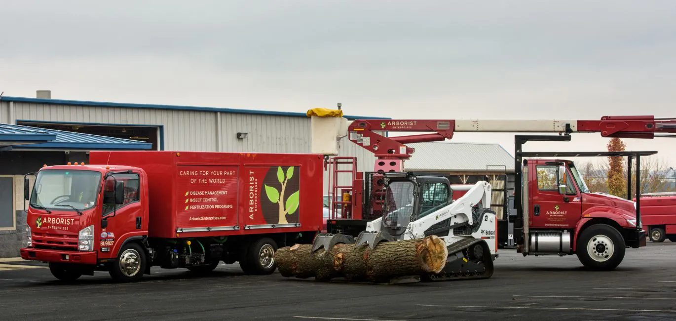 The equipment from Arborist Enterprises after a tree removal job in Lancaster, PA