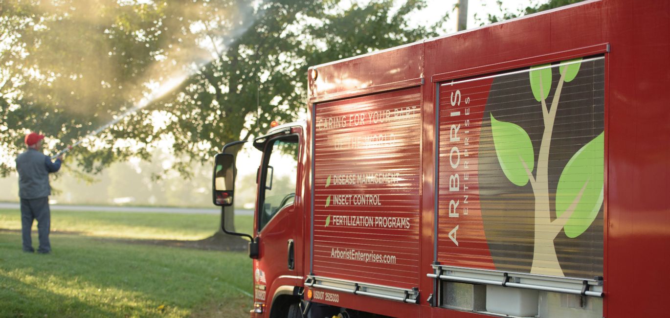 An arborist from Arborist Enterprises spraying trees to deal with an insect infestation in Manheim, PA.