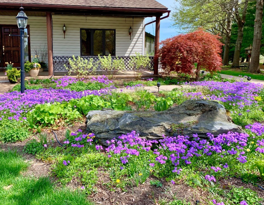 AE-blog-header-spring-season-flowers AE-blog-header-spring-season-flowers