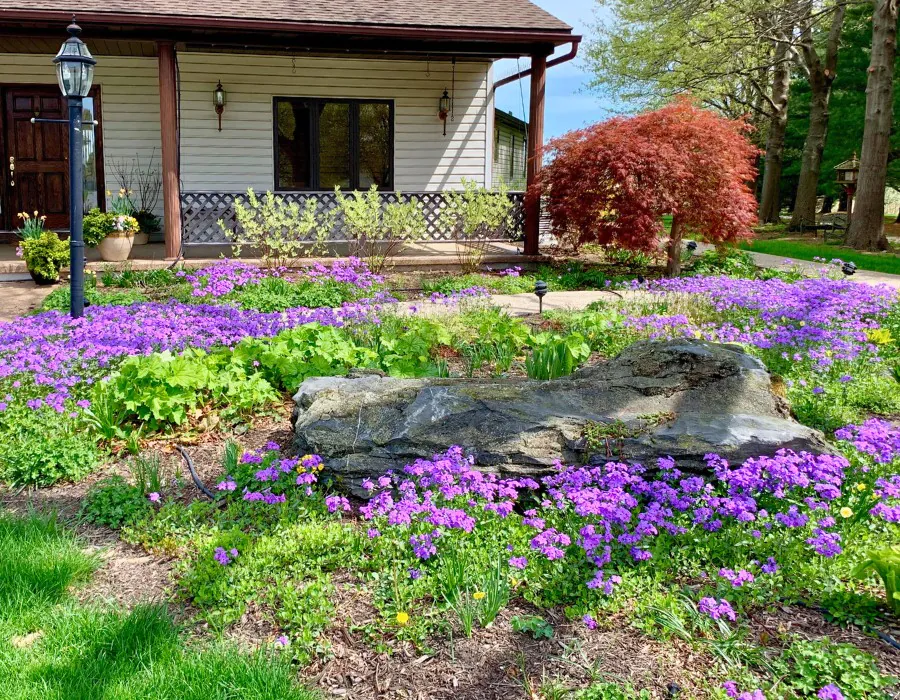 AE-blog-header-spring-season-flowers