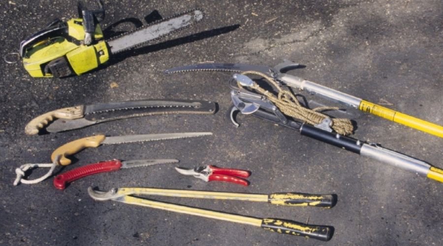 A collection of tree pruning tools