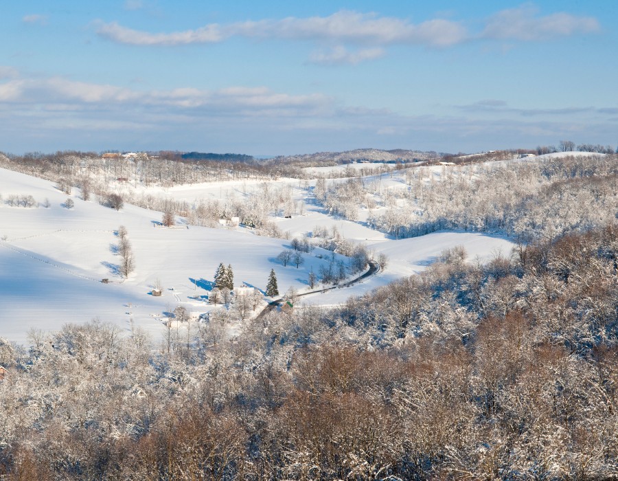 Rural PA during winter, road and trees covered in snow