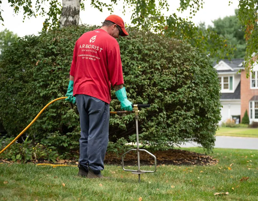 Arborist fertilizing the soil in a client's garden.