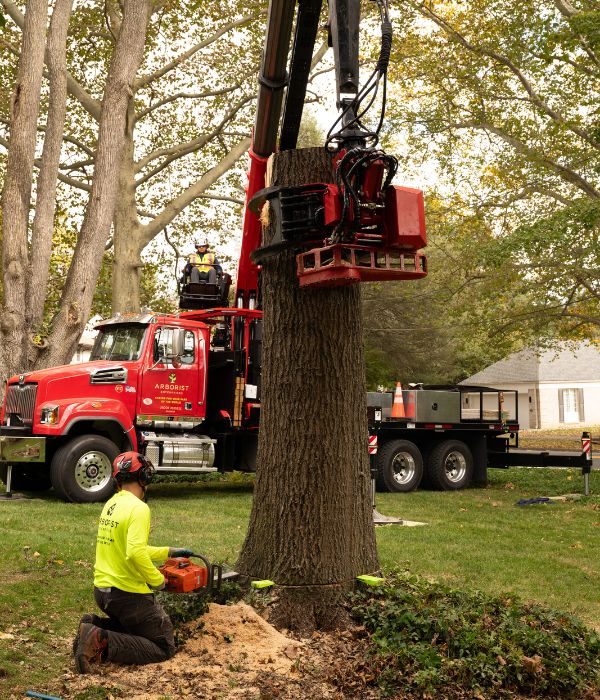 Website-Hershey-section-crew-grapplesaw-truck Ground crew with chainsaw and grapplesaw used to remove a tree