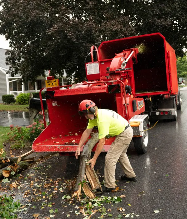 Trusted Tree Service in Lititz, PA | Arborist Enterprises