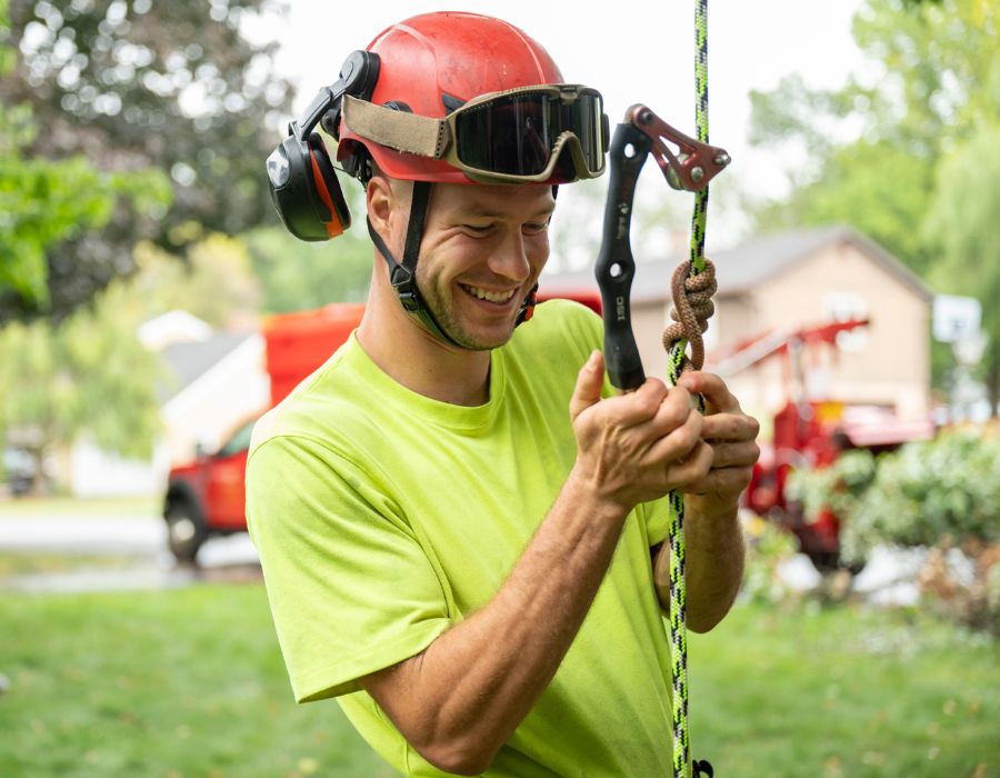 An arborist fixing his safety harness before starting a tree removal near Lititz, PA