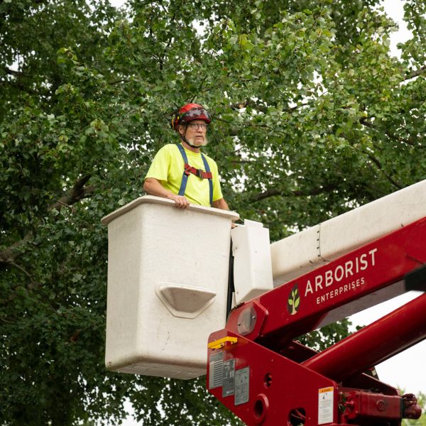 An arborist on a bucket ready to prune a tree on a property in Manheim, PA