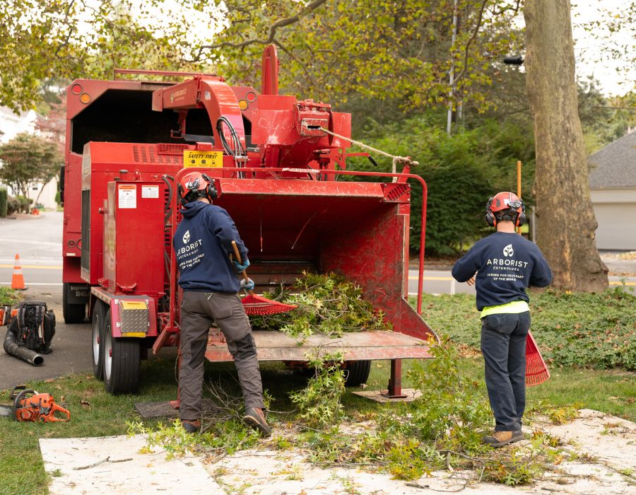 Ground crew cleaning up tree debris after a tree removal