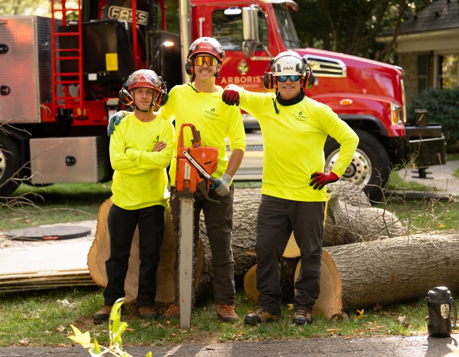 Tree crew of Arborist Enterprises