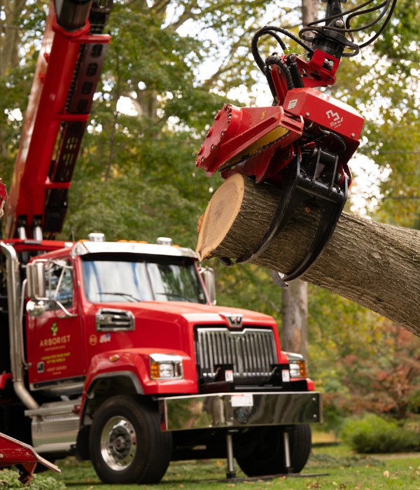 A grapplesaw truck carrying a newly cul log mid-air