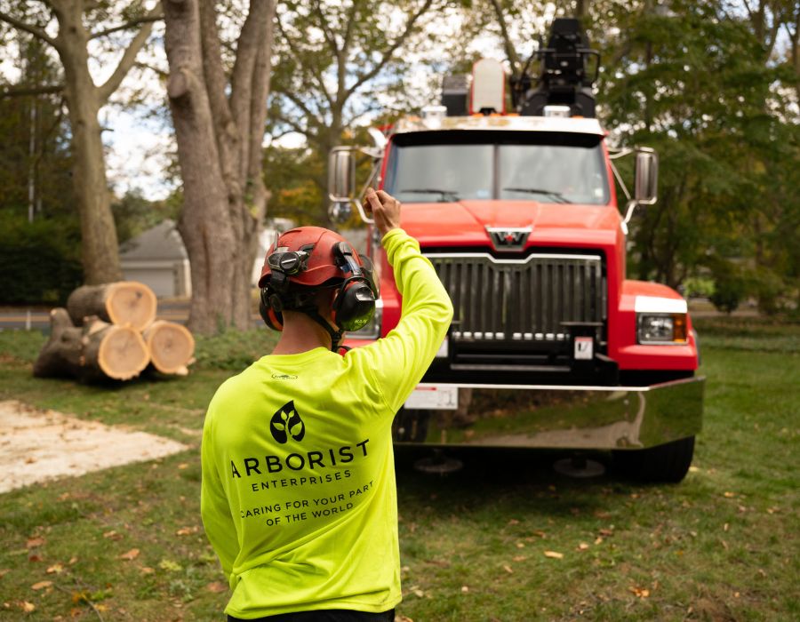 Tree crew signaling the driver of the truck near the Willow Street, PA