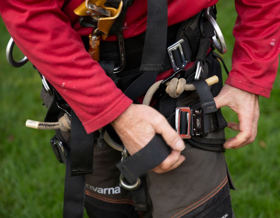 Arborist in red securing his safety gear.