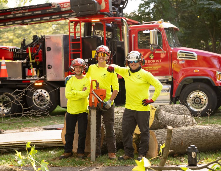 Three arborists lined up in front of the Arborist Enterprises truck with full gear.