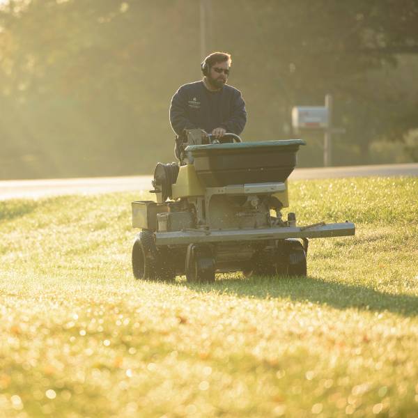 Arborist Enterprises member doing lawncare.