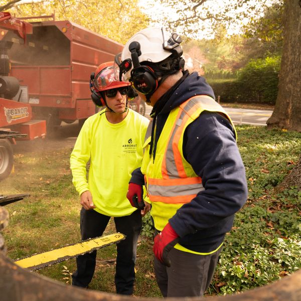 An arborist conversing with his supervisor.