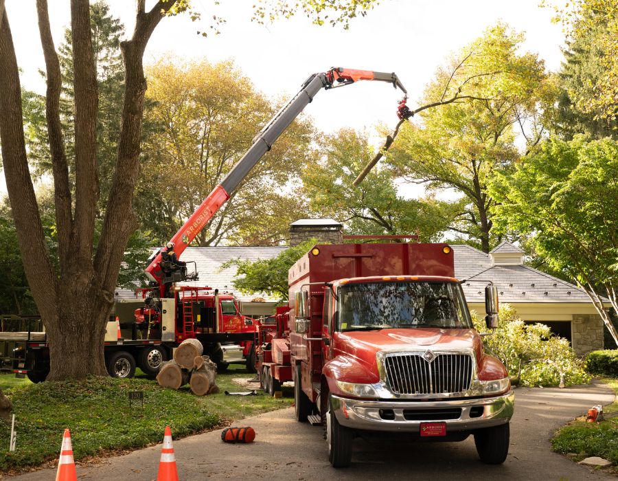 Heavy equipments being showcased by Arborist Enterprises.