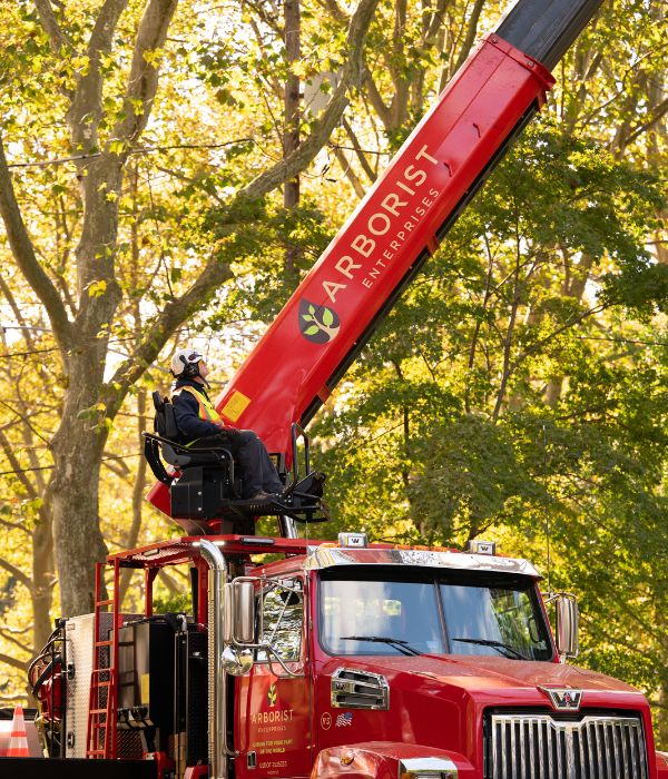 An arborist manning and operating a crane.