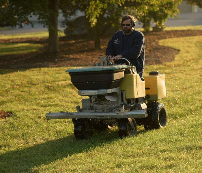 Arborist from Arborist Enterprises doing lawn care.