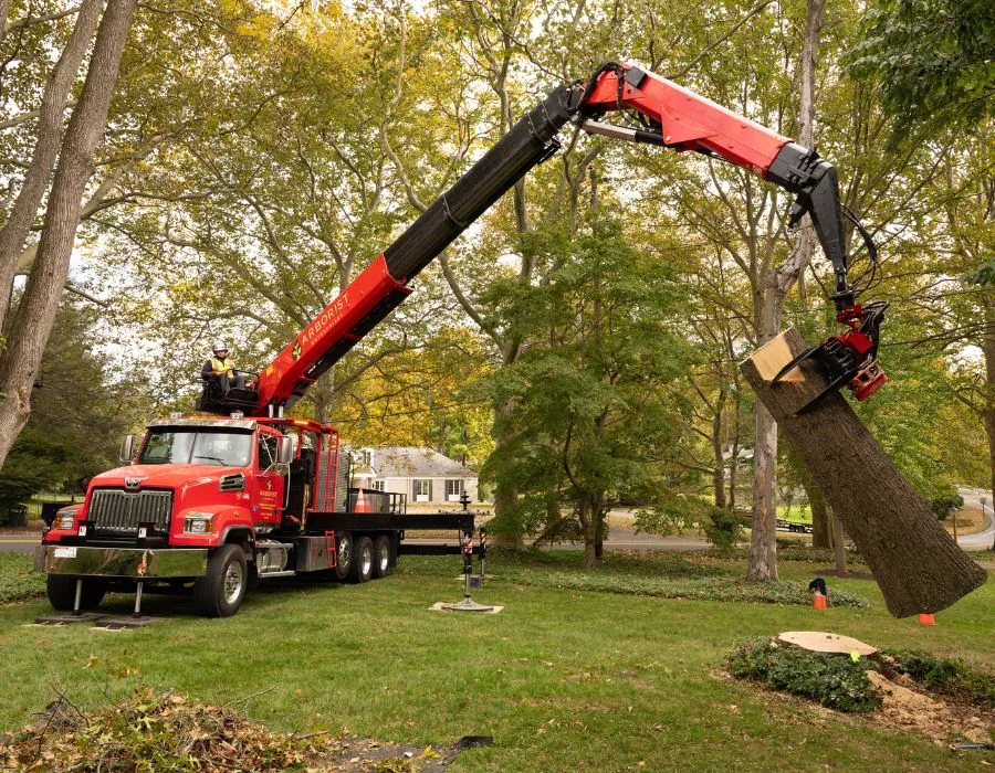 Arborist Enterprises crane lifting a tree trunk after being chainsawed by one of their crew members.