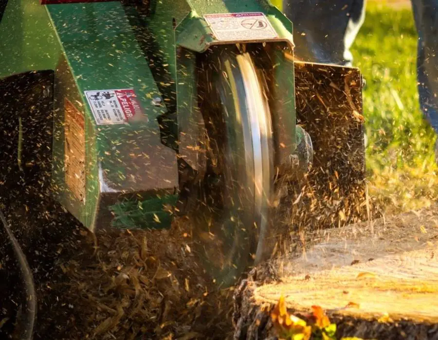 Stump grinder in action.