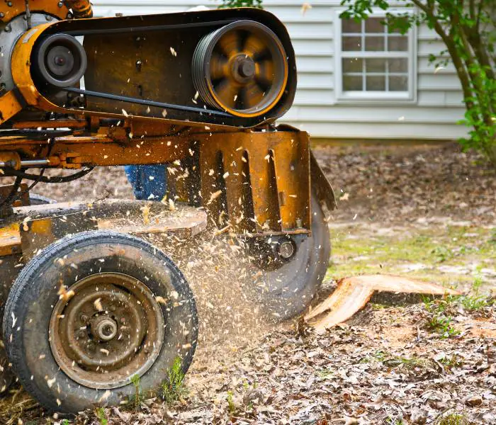 Stump grinding services performed in a client's yard.