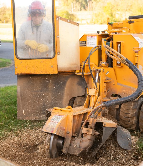 Arborist Enterprise crew member behind a stump grinder.